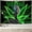 Green, variant on Trippy Small Tapestry, Psychedelic Tapestries for Bedroom Aesthetic, Hippie Pink Leaf Wall Hanging Tapestry Yoga Meditation Black Women Wall Tapestry for Bedroom, 80X60IN