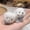 F (Puppy), variant on Adorable Fluffy Plush Chick Toy, Soft Kawaii Stuffed Animal, Cute Mini Plushie for Kids, Desk Decor, Gift for Children and Friends