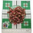 thumbnail image 3 of Caramel Creams 16oz Soft Candy Candies Sweets Caramels Chews 1lb One Pound, 3 of 6
