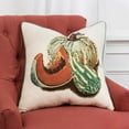 thumbnail image 5 of Rizzy Home Gourds/Pumpkins 20" Poly Pillow with Cotton Duck Cover-Multi-Color, 5 of 5