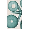 thumbnail image 3 of Koetsier, Albert 9x14 Black Modern Framed Museum Art Print Titled - under The Sea 2, 3 of 5