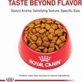 thumbnail image 2 of Royal Canin Canine Care Nutrition Large Joint Care Adult Dry Dog Food 30 lbs., 2 of 2