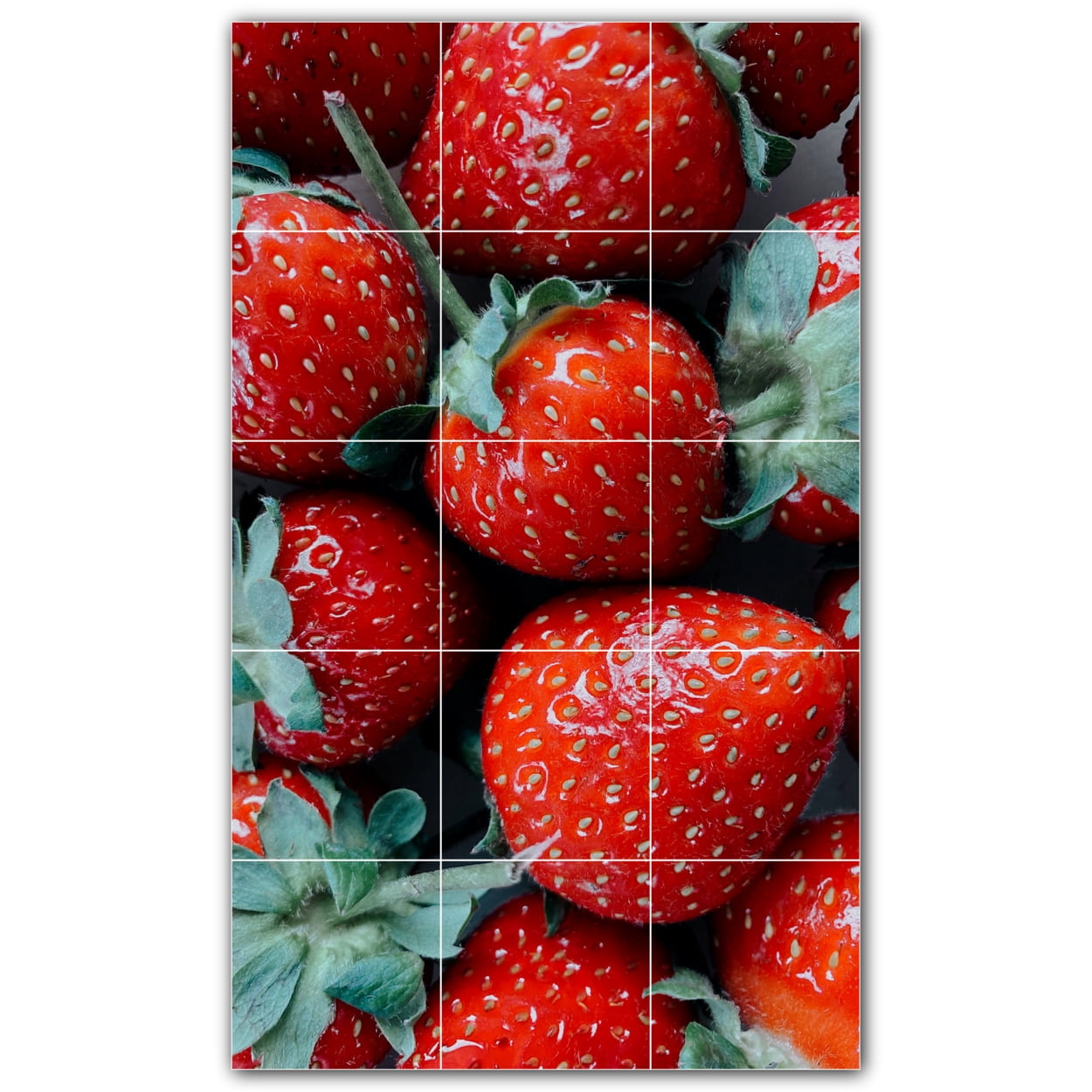 Fruit Ceramic Tile Wall Mural WAL50068935M. 18"W x