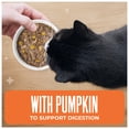thumbnail image 5 of Tiki Cat Friends Wet Cat Food Mega Pack, Tuna Favorites, 2.8 oz. cans (36 Count), 5 of 10