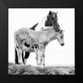 thumbnail image 2 of PHBurchett 20x20 Black Modern Framed Museum Art Print Titled - BandW Horses I, 2 of 5