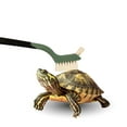 thumbnail image 6 of Turtle Cleaning Brush Remove Aquatic Mud, Dirt, & Contaminants from Tortoises Shells & Promoting Shell Health - Goat Hair Bristle Brush with Grip Rubber Handle - White by Snout and Shell, 6 of 8