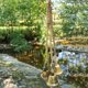 thumbnail image 3 of Viento, Campanas De Viento De La Suerte, Campana Colgante De Metal Chino Para La Buena Suerte, Decoración Colgante Para El Jardín Del Hogar Y El Patio Sweethay HA042877-02, 3 of 6