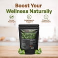 thumbnail image 2 of Bacopa Extract Powder (Bacopa Monnieri) 50% Bacosides - Herbal Extract Brahmi Supplement (4 oz.), 2 of 7