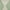 Blue Green, variant on Nourison Positano Indoor/Outdoor Charcoal 5' x 7' Area Rug (5x7)