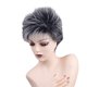 thumbnail image 2 of Peluca corta recta negra gris Salvador Pelucas Naturales De Cabello Completo, 2 of 10