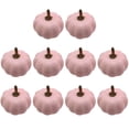 thumbnail image 1 of Naiovety 10 piezas de adornos de calabaza de espuma vintage, versátiles y de cosecha propia, para dormitorio, balcón y jardín. Decoración del hogar Rosa 7.5 cm x 6.5 cm, 1 of 6