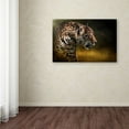 thumbnail image 3 of Trademark Fine Art "Who Goes There" Canvas Art by Lois Bryan, 3 of 3