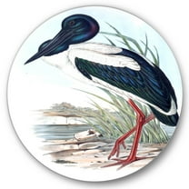 Designart 'Australian Vintage Birds I' Traditional Circle Metal Wall Art 36x36 - Disc of 36