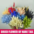thumbnail image 2 of 50/60pcs Dried Flower Grass Decoration Photography Props For Home Store Wedding, 2 of 3