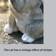 thumbnail image 5 of Estatua de gato Animal Solar, adorno artístico, regalos de resina, decoración del hogar para jardín al aire libre, 5 of 9