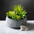 thumbnail image 6 of Sullivans Artificial Succulent In Cement Planter 6"H Green, 6 of 7