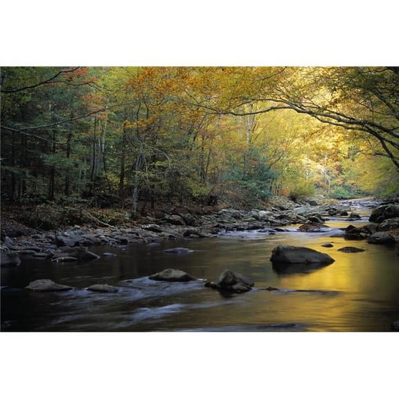 River Flowing Over Rocks  Greenbrier Area  Great Smoky Mountains National Park  Tennessee  Usa Poster Print