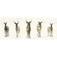 thumbnail image 2 of Popp, Grace 32x15 White Modern Wood Framed Museum Art Print Titled - Deer Herd I, 2 of 4