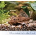 thumbnail image 3 of Aqueon Bottom Feeder Tablets [Aquarium Bottom Feeder Food, Aquarium Supplies] 9 oz (3 x 3 oz), 3 of 6