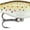 Trout, variant on Rapala Ultra Light Shad 04 Crankbait Fishing Lure 1.5" 1/8oz Rainbow Trout