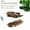 2PCS 10-15CM, variant on Driftwood Aquarium Decoration 1/2pcs Natural Wood Branch for Fish Tank, Reptile Habitat Climbing Hideout & Aquascape Decor