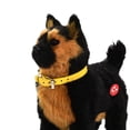 thumbnail image 5 of Electronic Toy Dog, Interactive Plush Toy Dog for Kids, Voice/Walking/, 5 of 5