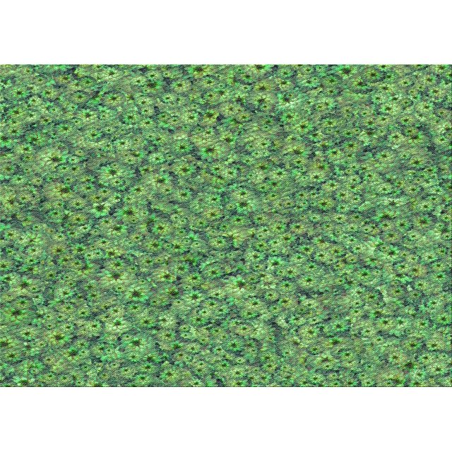 Ahgly Company Machine Washable Indoor Rectangle Transitional Medium Forest Green Area Rugs, 7' x 10'