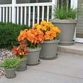 thumbnail image 3 of Bloem TR1283 12 in. Terra Pot Planter, Pebble Stone, 3 of 6