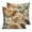 Chocolate, variant on 18x18 Pillow Covers Set of 2, Floral Throw Pillow Covers Decorative Couch Cushion Case, Modern Abstract Art Farmhouse Microfiber Square Pillowcases for Bedroom Car Living Room