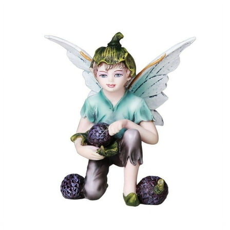 Pacific Giftware Fairy Garden Flower Boy Fairy with Blue Berries Decorative Mini Garden of Enchantment Figurine 3 Inch