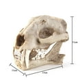 thumbnail image 2 of Oliegs Léopard Nui Maison Halloween Résine Animal Zoo Éducation Scientifique, 2 of 4