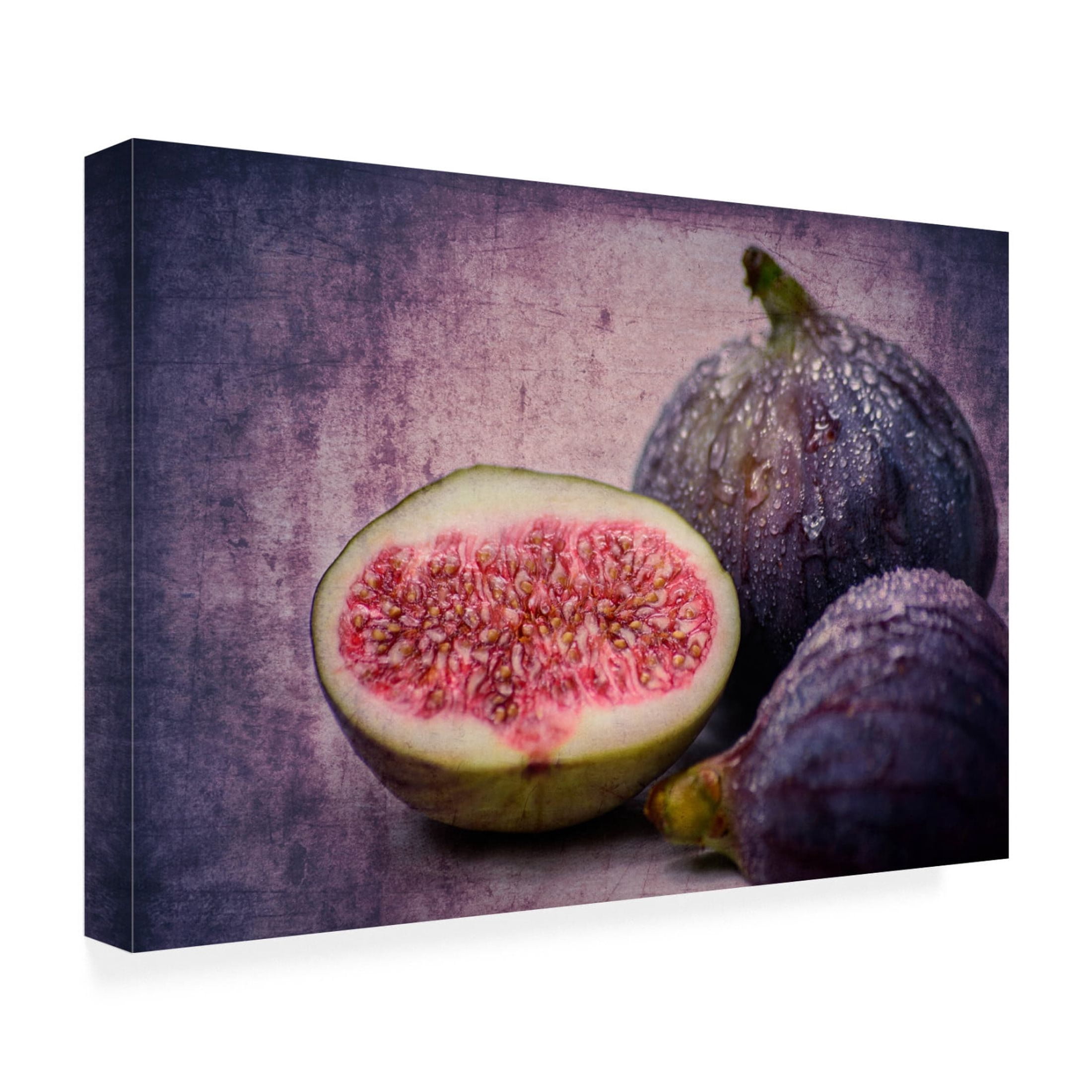 Canvas Wall Art - Hannes Cmarits 'Figs' Wall Art for Living Room, Bedroom, or Office D?cor by Trademark Fine Art - 24 x 16 Inches