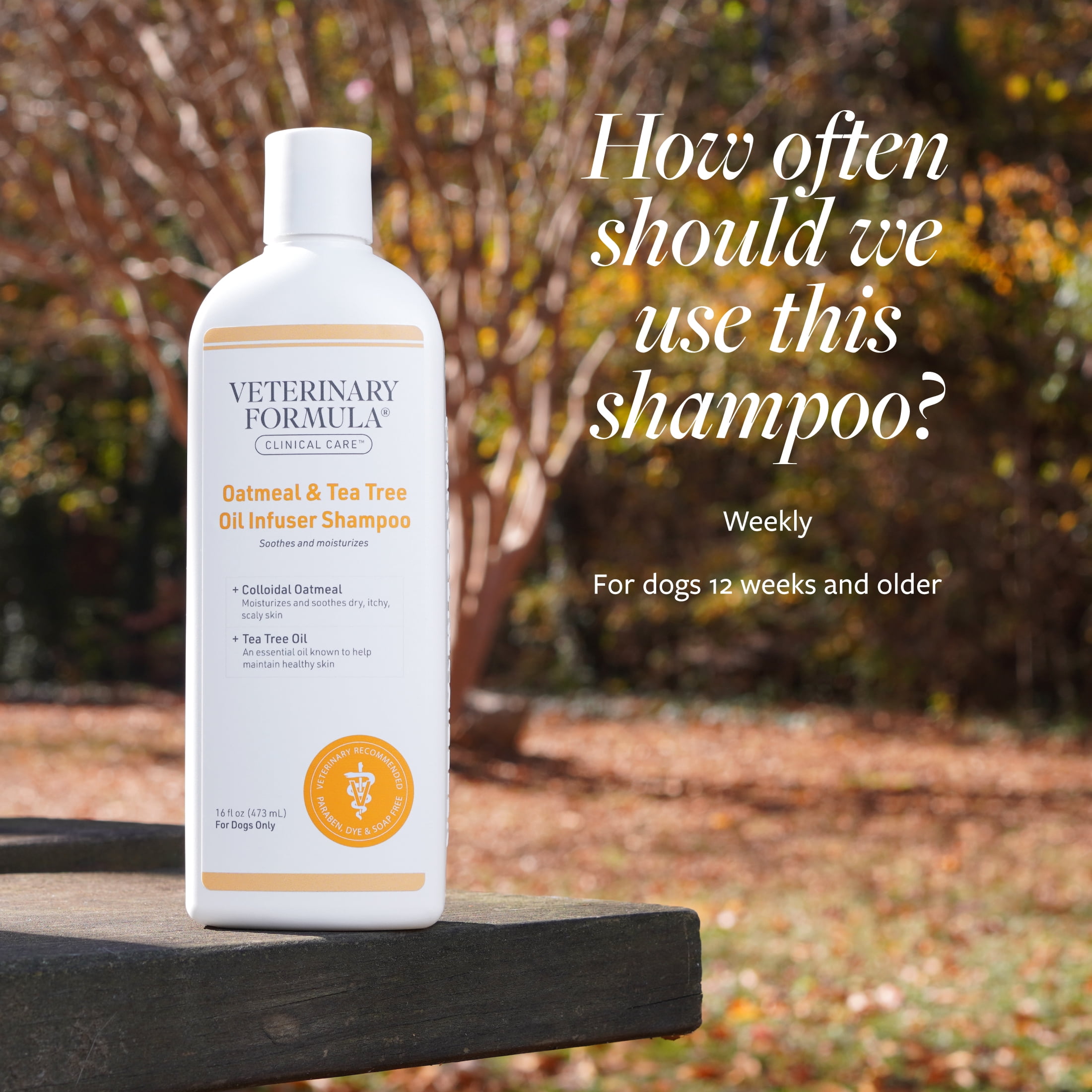 Oatmeal and tea tree oil dog shampoo cheap