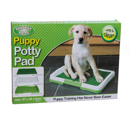 3 Layers Puppy Pee Potty Trainer for Pet Toilet Puppy Potty Pad Outdoor Indoor Restroom for Pet Cat Dog Puppy Training-Non Toxic-Synthetic Grass-Easy Clean,.., By (Best Way To Clean Cat Pee From Carpet)