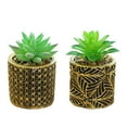 thumbnail image 1 of 2pcs fake flower simulation succulent bonsai fashion creative small ornaments artificial potted green plants - type:style1;, 1 of 5