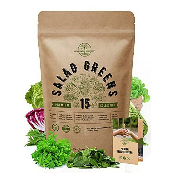 15 Lettuce & Salad Greens Seeds Variety Pack 7500  Non-GMO Heirloom Lettuce Seeds for Planting Indoors & Outdoors Garden, Hydroponics, Aerogarden - Arugula, Kale, Spinach, Swiss Chard, Lettuce & More
