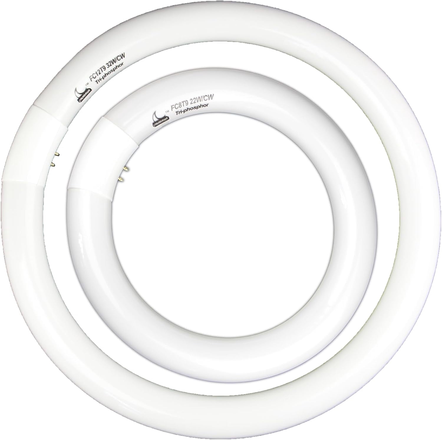 ZhenheFc8T9/Cw 22W And Fc12T9/Cw 32W Cool White Round Fluorescent Light Bulb Set, 8 Inch T9 22 Watts & 12 Inch 32 Watts Circular Bulbs Pack, Circline Kitchen And Bath Light Bulbs, Cri 80, 4100K, G10