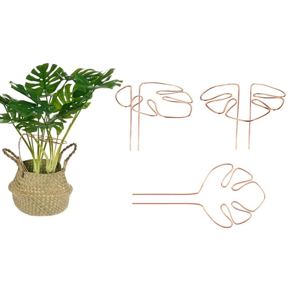 Uxcell 3-Pack Monstera Plant Support 11x5.9" Sturdy Plant Support Stakes for Potted Plants,Copper