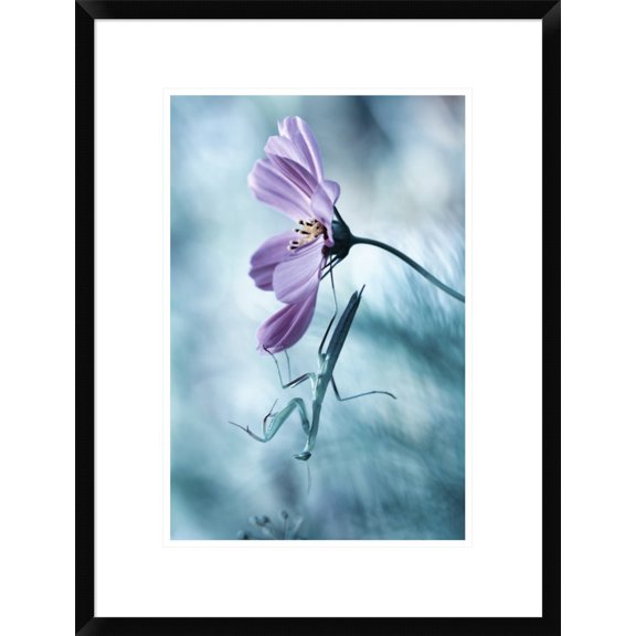 Global Gallery Fabien Bravin 'Newtonian Physics' Framed Wall Art