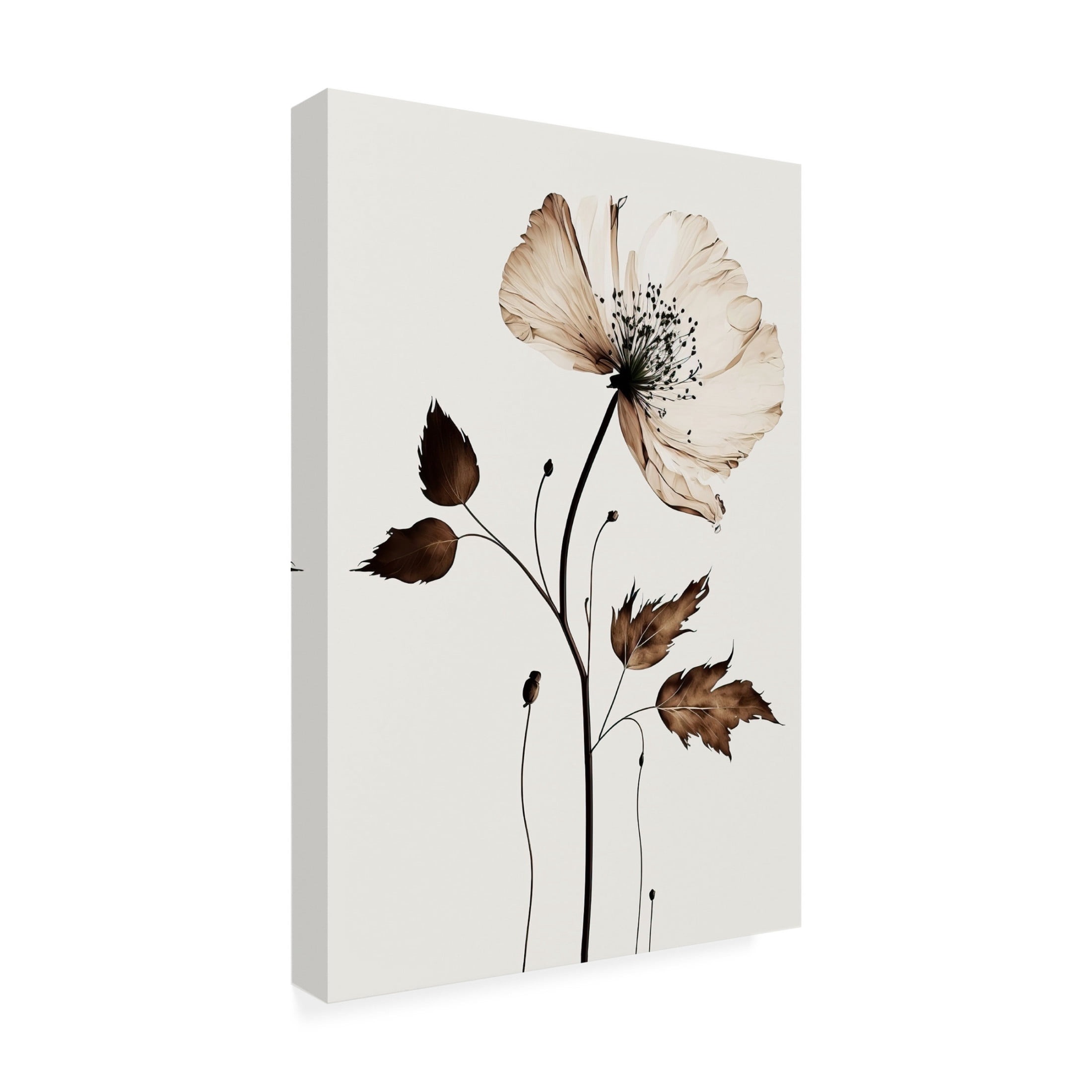 Canvas Wall Art - Treechild 'The Coffee Flower' Wall Art for Living Room, Bedroom, or Office D?cor by Trademark Fine Art - 16 x 24 Inches