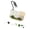 Cream white, variant on Lynono Co.,Ltd Starter Turtles Tanks Aquarium With Builts In Feeding Zone And Climbing Space