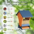 thumbnail image 4 of Comedero para pájaros Wildpark a prueba de ardillas, 2 puertos, metal, 2,27 kg, 4 of 8