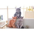 thumbnail image 2 of EeaseCA 1PC Simulated Cat 3D Stereo Throw Pillow Plush Toy Cushion Stuffed Toy (Tiger Grain), 2 of 5