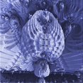 thumbnail image 1 of Ahgly Company Machine Washable Indoor Square Transitional Sky Blue Area Rugs, 5' Square, 1 of 7