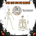 thumbnail image 3 of Ayieyill 5pcs Halloween Skeleton Decorations, Mini Posable Skeletons Halloween Decor for Halloween Decorations Indoor Outdoor, 3 of 8