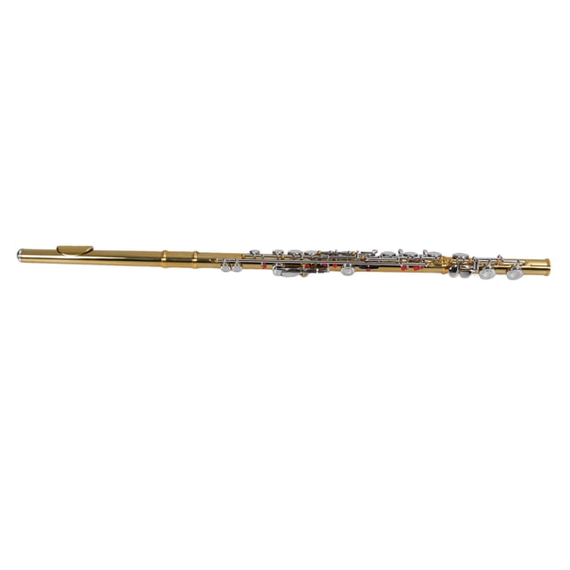 16 Keys C Flute, Sensitive Keys C Flute Complete Professional Simple To Play Full Resonance for Performance for Beginner