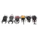 thumbnail image 2 of Juguete de insecto escarabajo, 6 piezas de simulación de insecto escarabajo, accesorios de Halloween, juguete de insecto, el mejor en su clase, 2 of 14