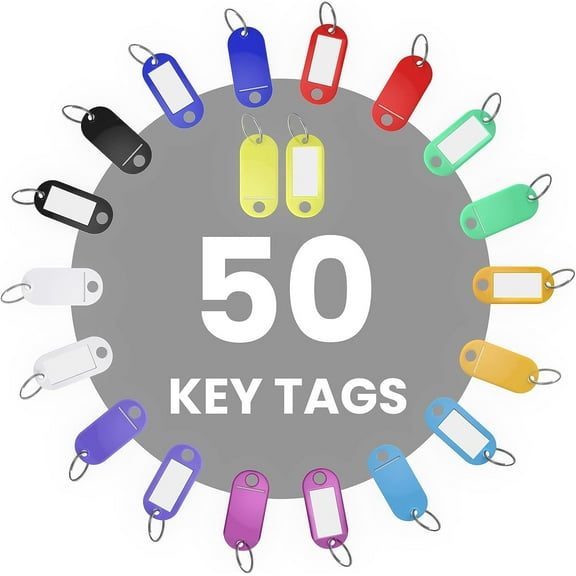 50 Pack Key Tags with Labels, 10 Colors Plastic Key Fobs with Split Ring, Heavy Duty Key Rings with Tags Sturdy, Name Tags for Keys Luggage Pet Memory Stick Tags, Label for Home Office Identification