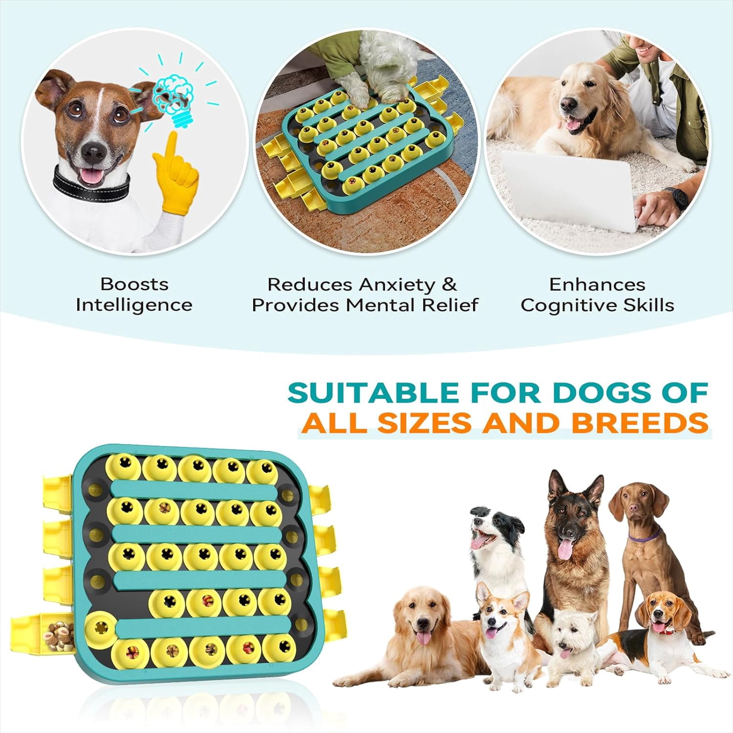 KADTC Dog Puzzle Toy, Extra-Large Size, 4 Levels of Step-by-Step Challenge, Beginner to Export, Slow Feeder & Mental Stimulation for Smart Dogs Enrichment Toys