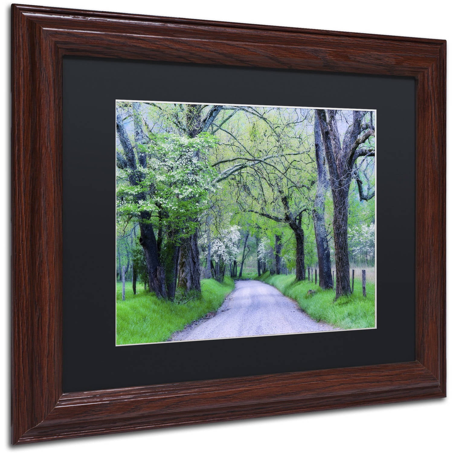 Trademark Fine Art "Cades Cove Lane" Canvas Art by Michael Blanchette Photography Black Matte, Wood Frame